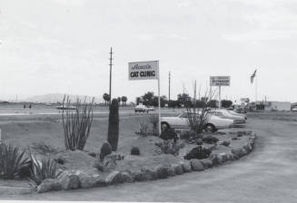 Acacia Cat Clinic - 2334 East Broadway Road, Tempe, Arizona