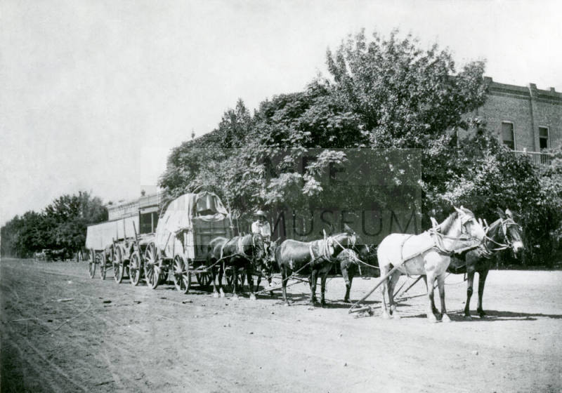OS-251   Tempe freighter, Jose Araiza, on horseback with a horsedrawn wagon team in front of the Bank of Tempe on Mill Avenue.