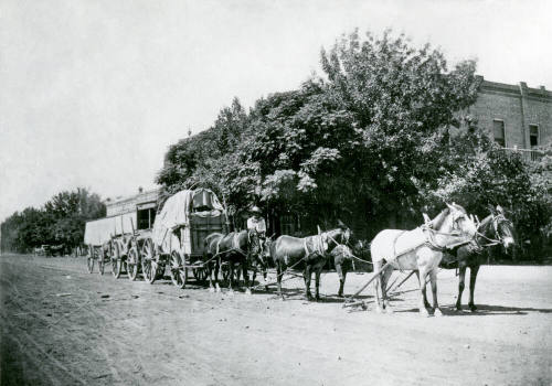 OS-251   Tempe freighter, Jose Araiza, on horseback with a horsedrawn wagon team in front of the Bank of Tempe on Mill Avenue.