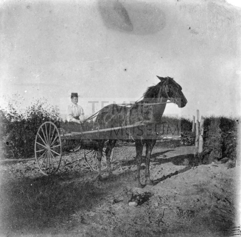 OS-256   School Teacher A.H. Williams in Buggy