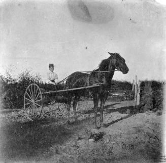 OS-256   School Teacher A.H. Williams in Buggy
