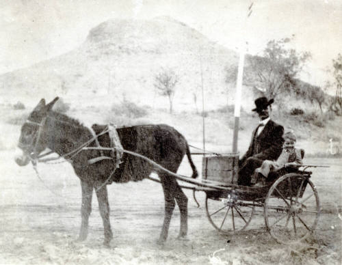 OS-257   G.R. Finch and Son in Burro Drawn Cart