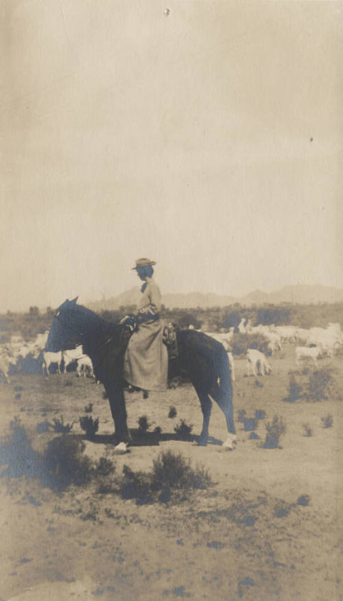 Unidentified Woman on Horseback and Goats