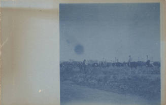 View of Unidentified Woman and Ostriches