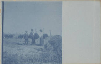 Three Unidentified People with Ostriches