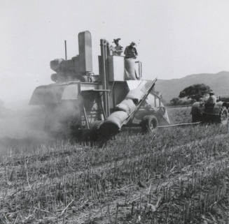 Thresher Harvesting Sugar Beet Seed