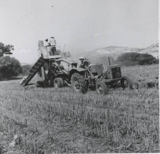 Thresher Harvesting Sugar Beet Seed