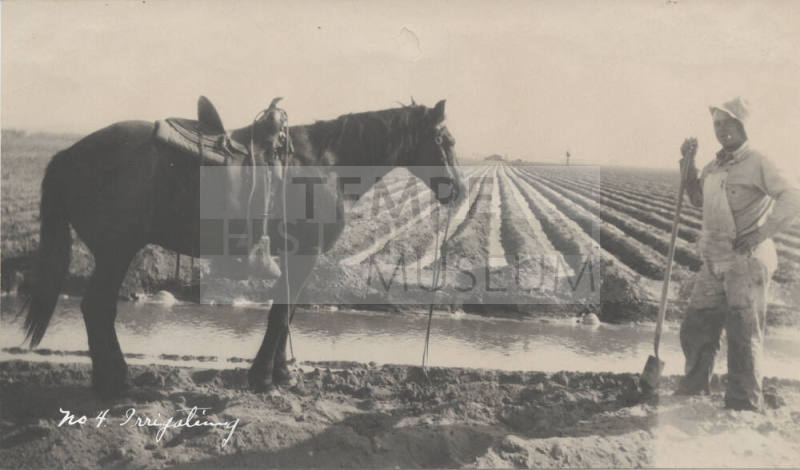 Farm Series "No. 4 Irrigating"