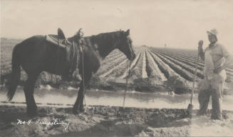 Farm Series "No. 4 Irrigating"