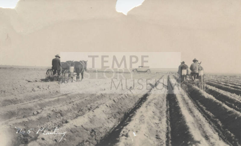 Farm Series "No. 5 Planting"