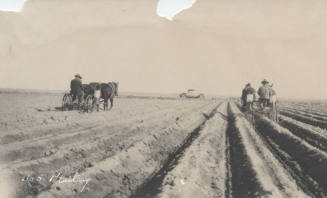Farm Series "No. 5 Planting"