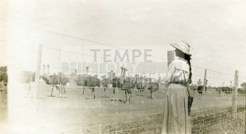 Unidentified Woman-Chandler Ostrich Farm
