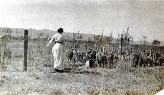 Estelle Craig Tending Ostriches