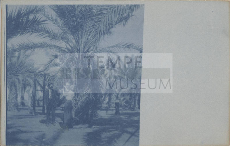 Unidentified Couple Picking Dates