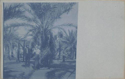 Unidentified Couple Picking Dates