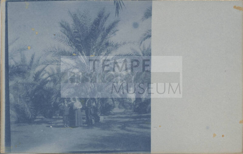 Unidentified Group Standing by Date Palm
