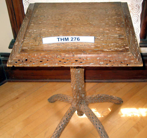 cholla Table