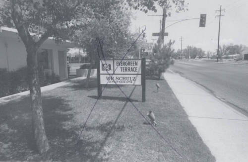 Evergreen Terrace Apartments - 1701 East Don Carlos Avenue, Tempe, Arizona