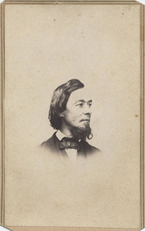 Shoulder, Man, Bow Tie and Beard