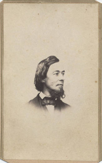 Shoulder, Man, Bow Tie and Beard