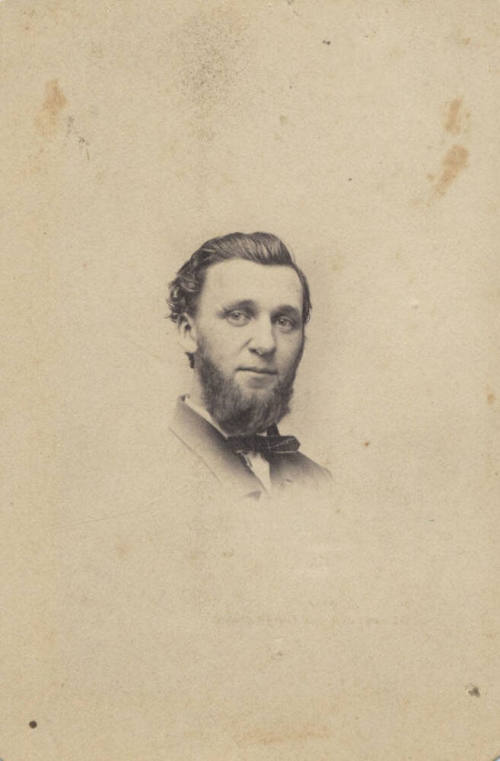 Shoulder, Man, Bow Tie and Business Suit
