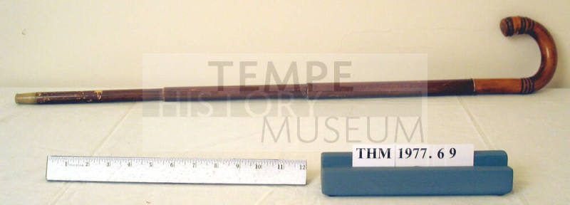 Umbrella Cane
