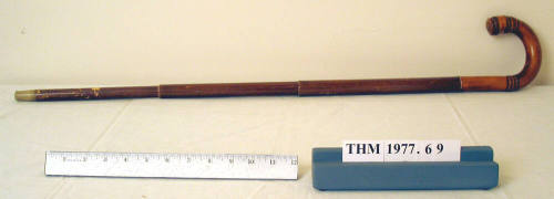 Umbrella Cane
