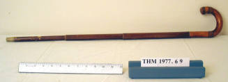 Umbrella Cane