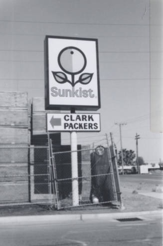 Sunkist-Clark Packers - 201 South Farmer Avenue, Tempe, Arizona