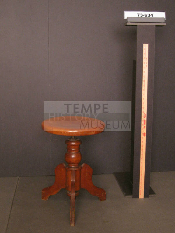 Stool, Organ