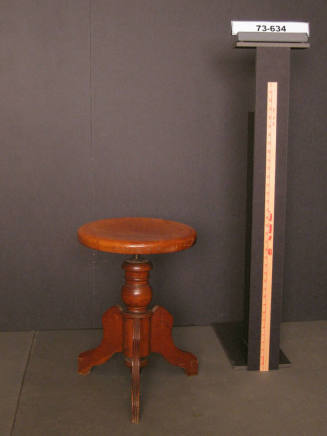 Stool, Organ