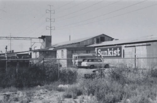 Sunkist-Clark Packers - 201 South Farmer Avenue, Tempe, Arizona