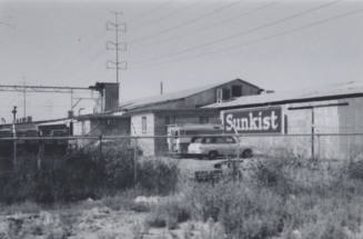 Sunkist-Clark Packers - 201 South Farmer Avenue, Tempe, Arizona