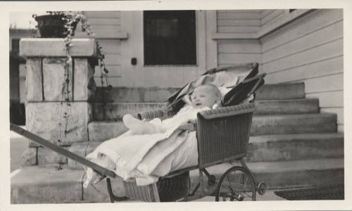 Picture of Baby in Carriage