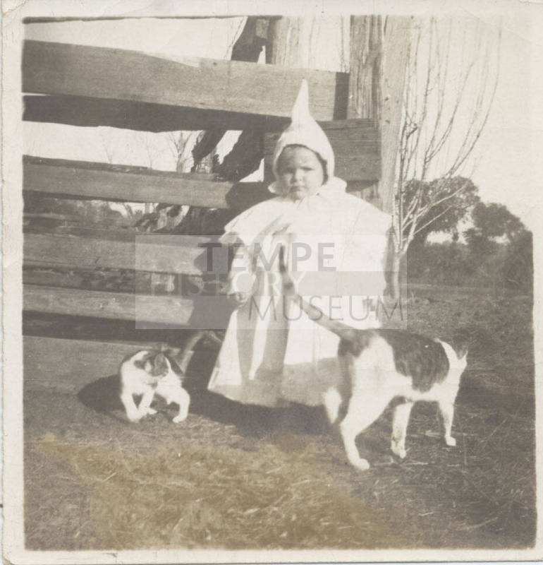 Photo of Small Child with Cats