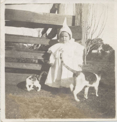 Photo of Small Child with Cats
