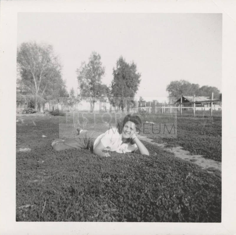 A Lady Laying on the Grass