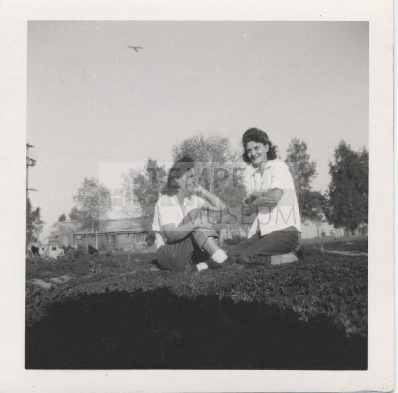 Two Ladies Sitting on a Grass Lawn