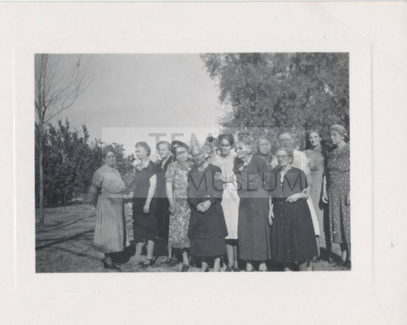 Group of Women in Outdoor Setting