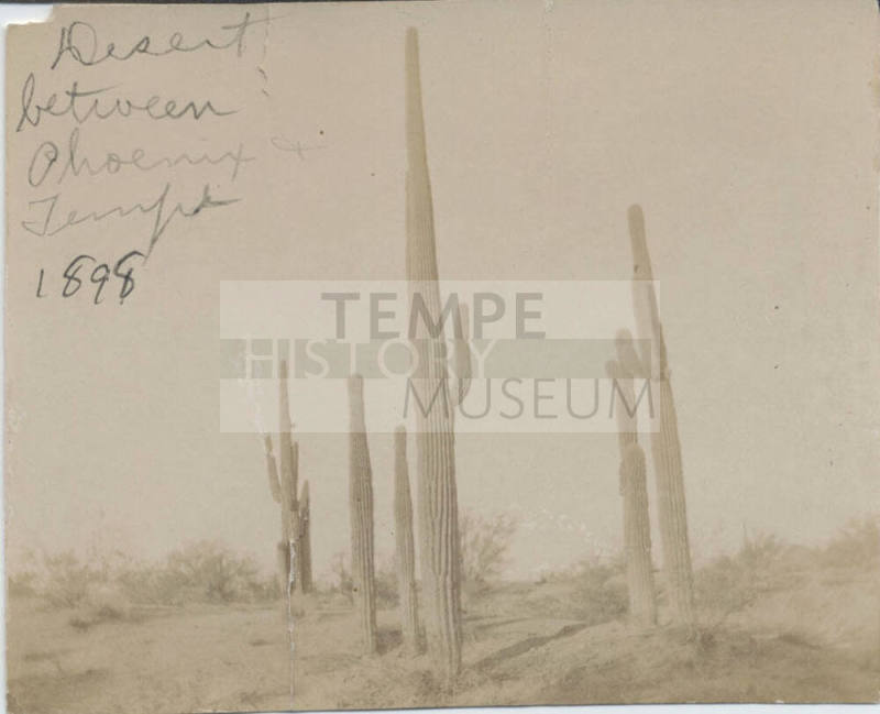 View of Desert Between Phoenix and Tempe