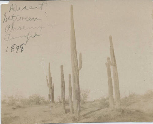 View of Desert Between Phoenix and Tempe