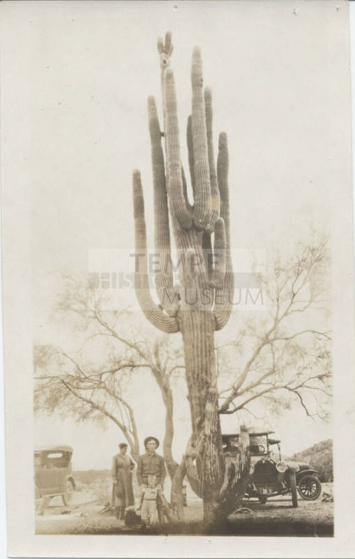 The Woolf family in the Sonoran Desert