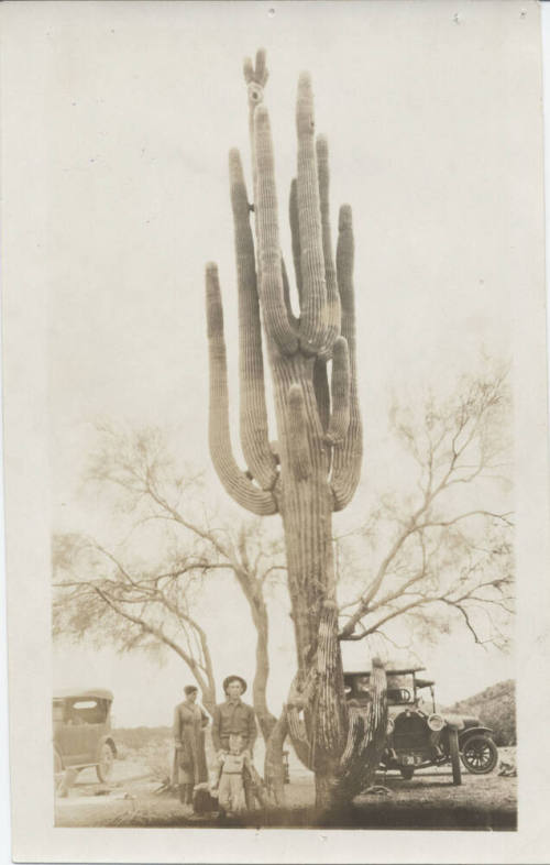 The Woolf family in the Sonoran Desert
