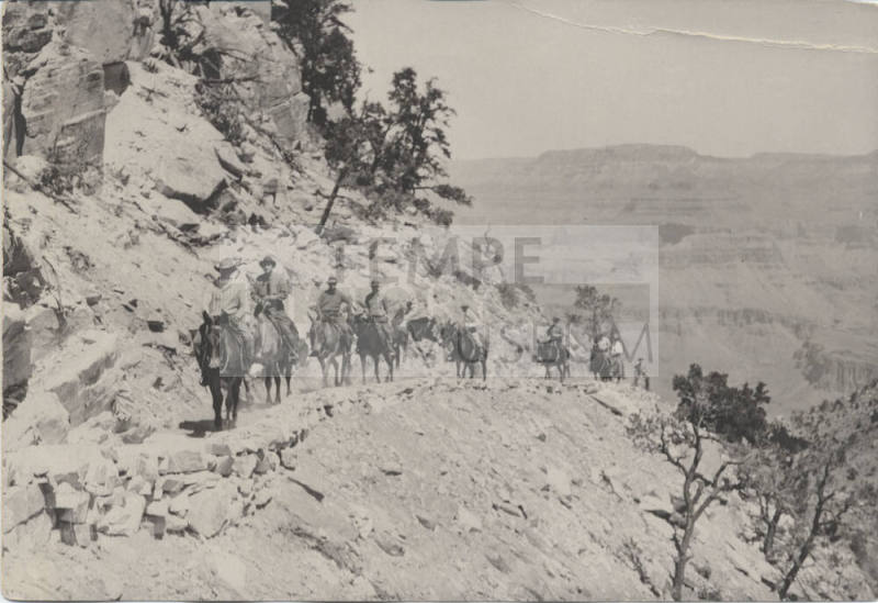 Mules on Bright Angel Trail at the Grand Canyon