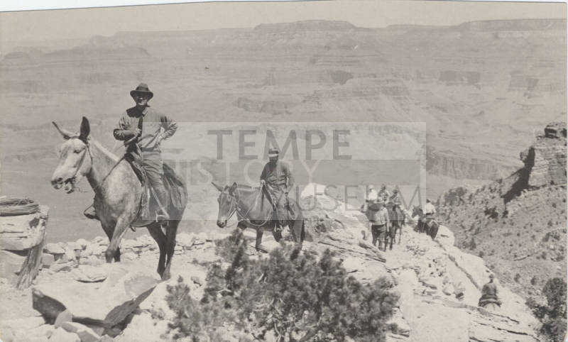 Mules, Bright Angel Trail, Grand Canyon