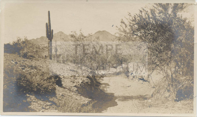 View of a Trail in Desert, Tempe