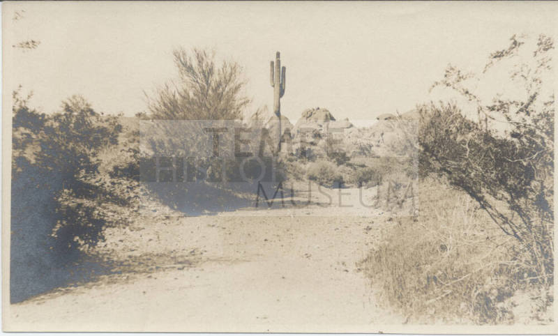 View of Tempe Desert Landscape