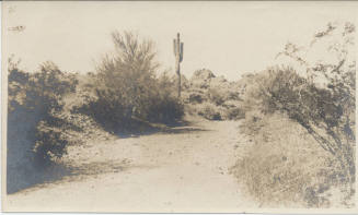 View of Tempe Desert Landscape