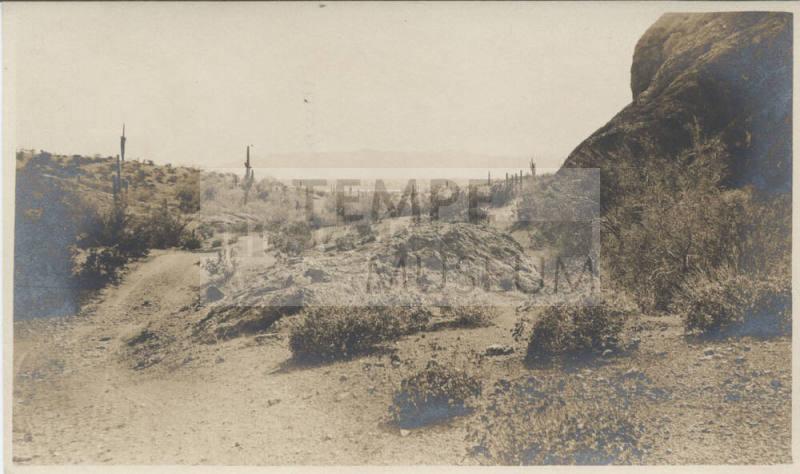 View of Tempe Desert Landscape