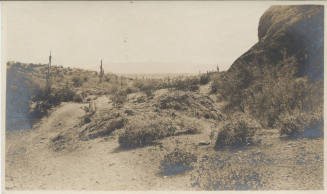 View of Tempe Desert Landscape